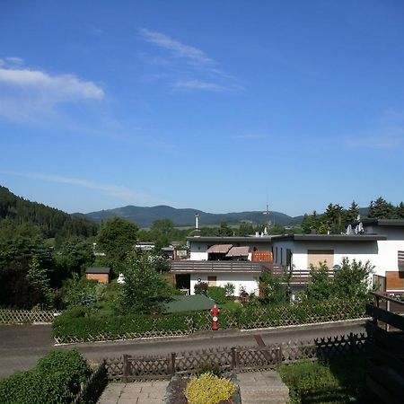 Haus Panoramablick Villa Medebach Buitenkant foto