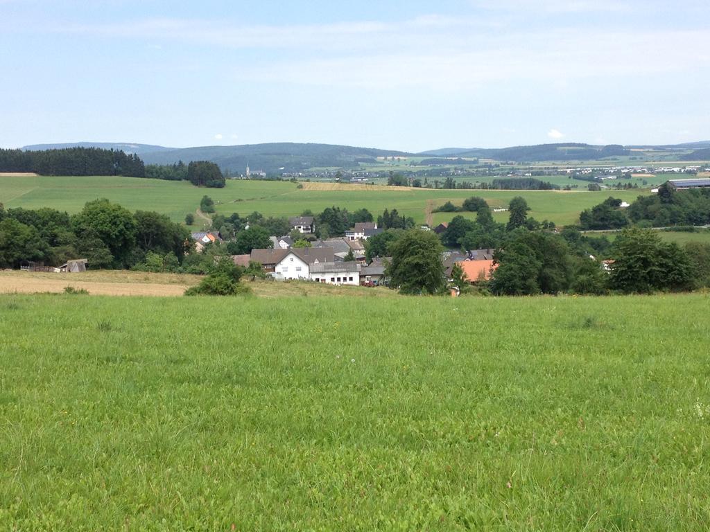 Haus Panoramablick Villa Medebach Buitenkant foto