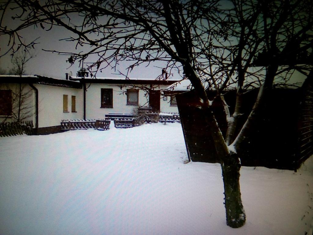 Haus Panoramablick Villa Medebach Buitenkant foto